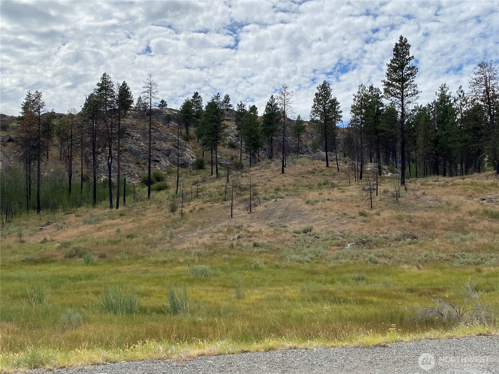 6 Madd Mountain Road Okanogan, WA 98840 - Photo 4 of 29 Gallery Image 4
