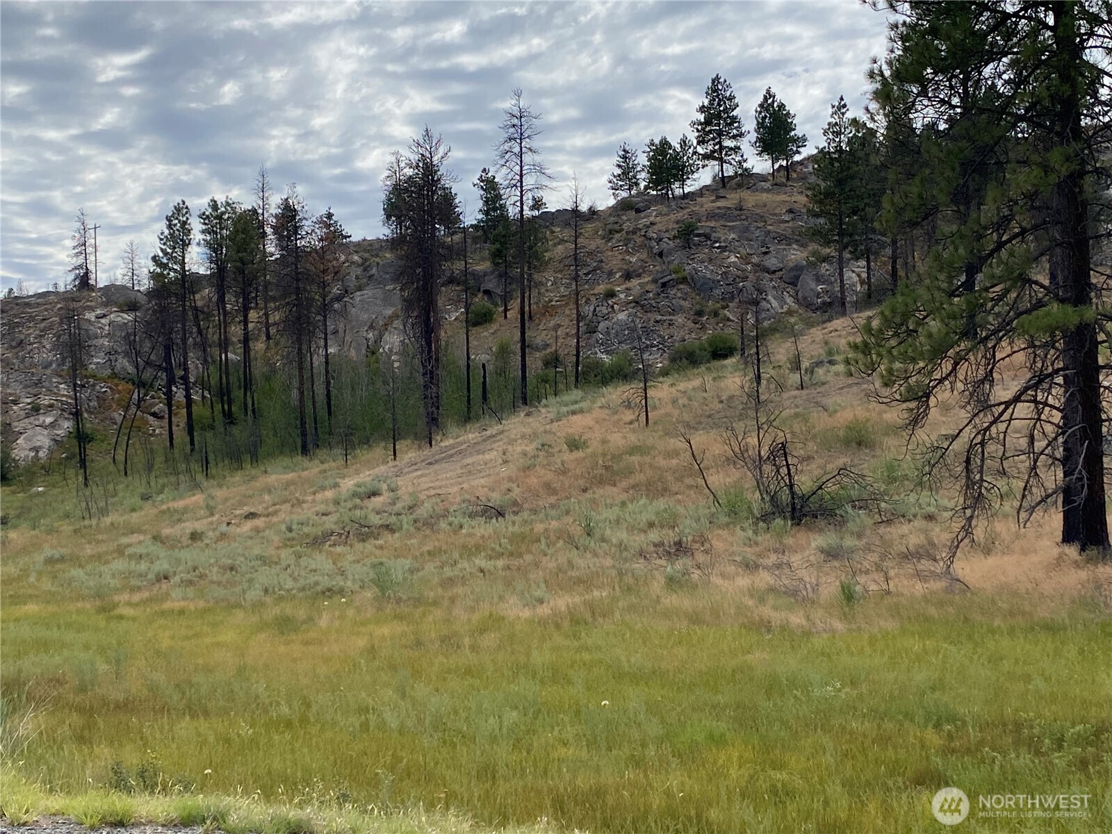 6 Madd Mountain Road Okanogan, WA 98840 - Photo 8 of 29 Gallery Image 8
