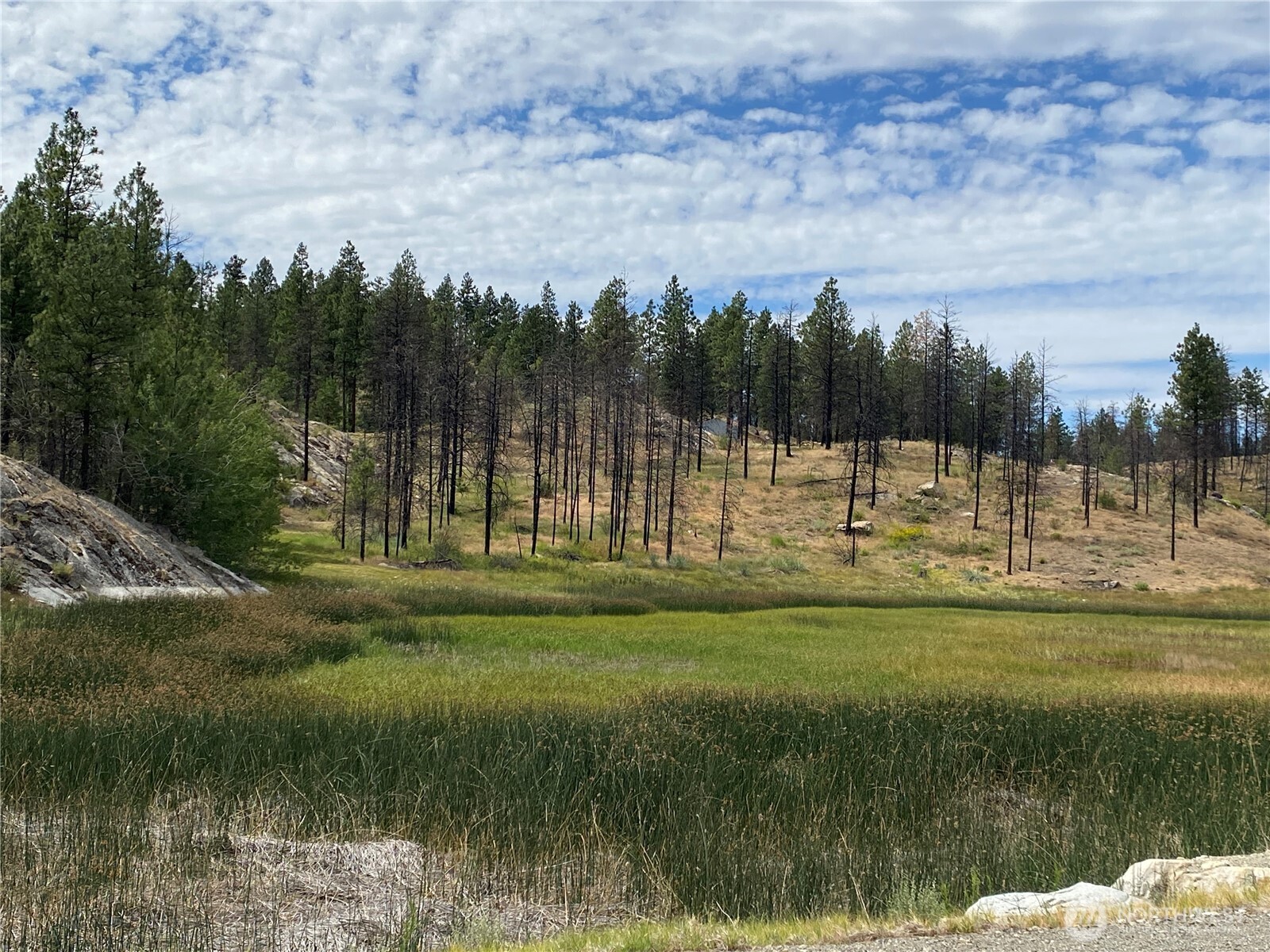 6 Madd Mountain Road Okanogan, WA 98840 - Photo 10 of 29 Gallery Image 10