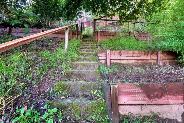 a view of a yard in front of house
