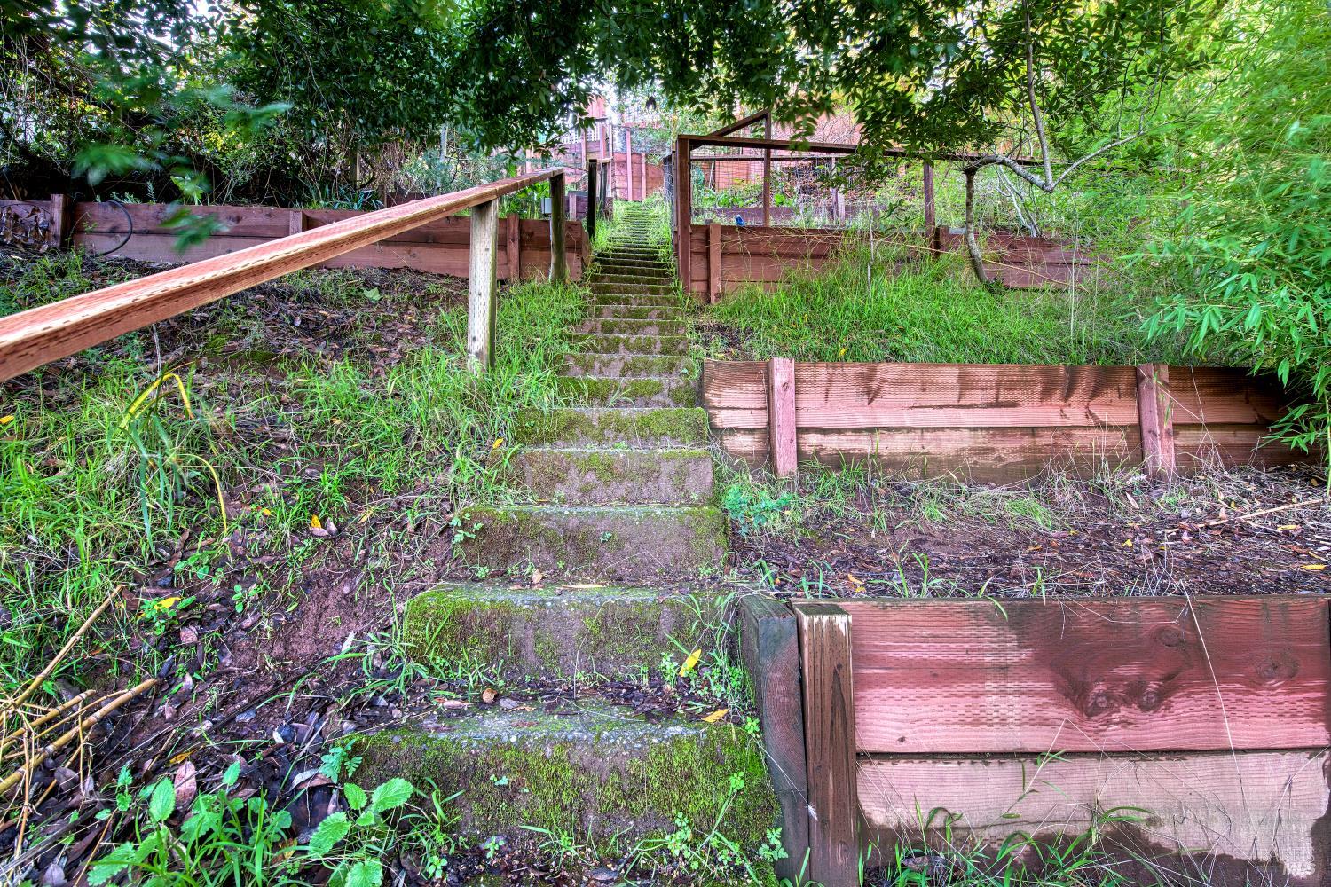 223 Tamalpais Road Fairfax, CA 94930 - Photo 16 of 28