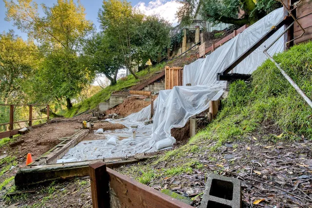 a view of a yard along with trees