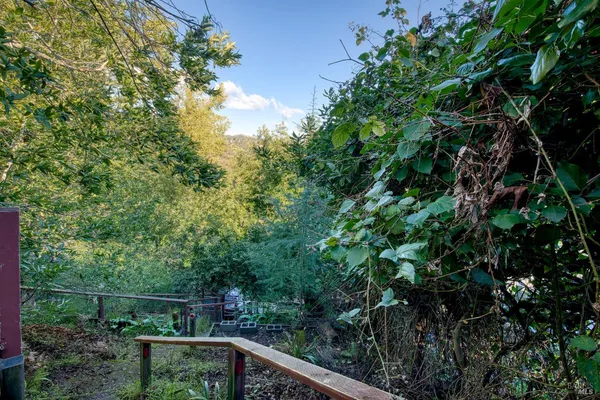 a view of a yard with a tree
