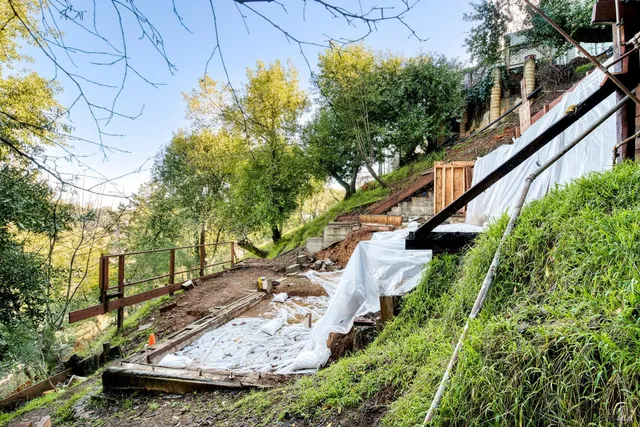 a view of a yard with plants and a bench