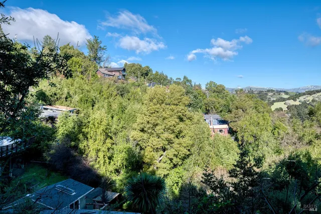 a view of a bunch of trees and houses