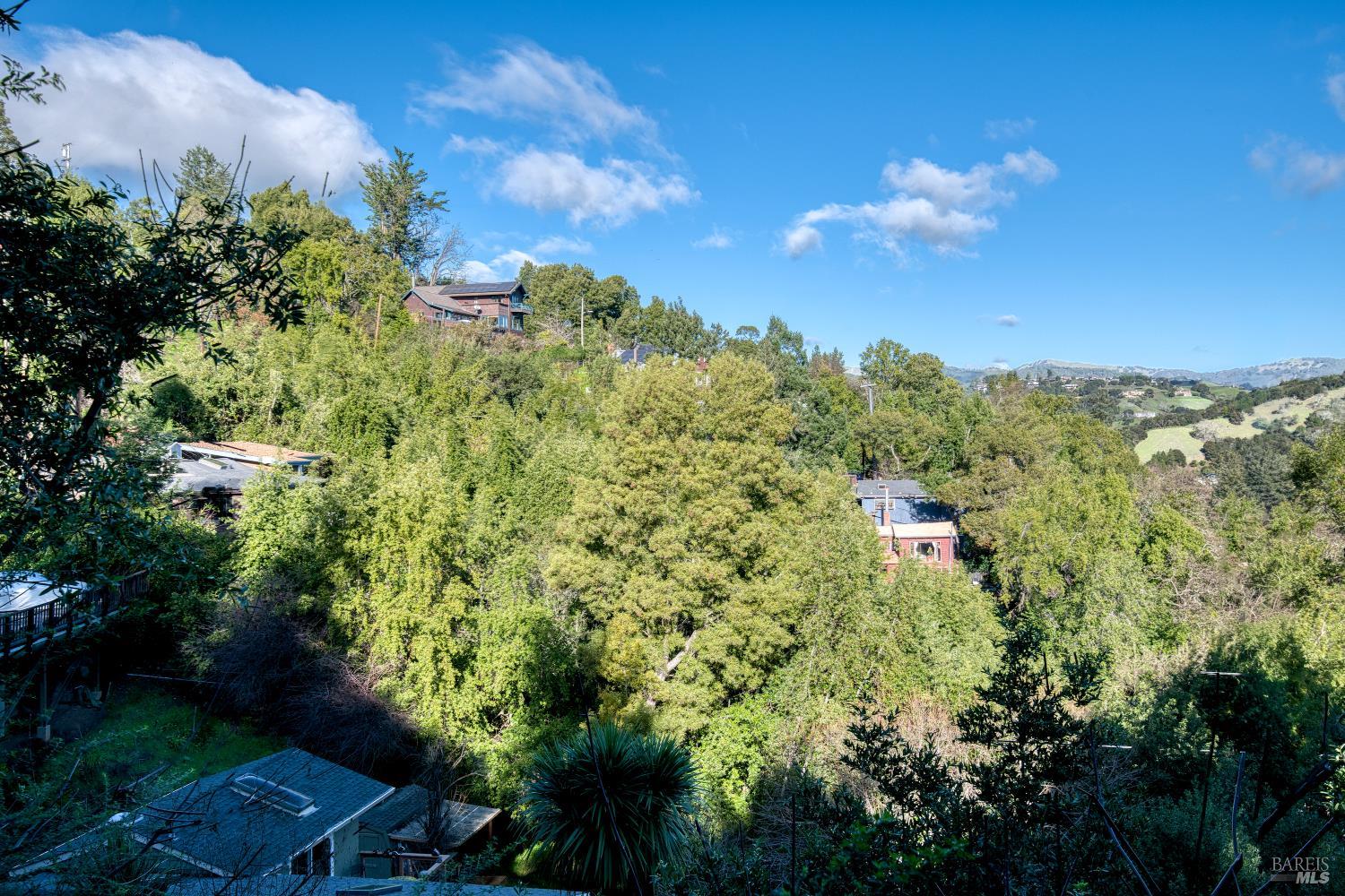 223 Tamalpais Road Fairfax, CA 94930 - Photo 26 of 28
