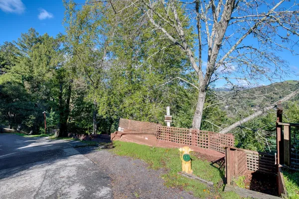 a view of a yard with plants and trees