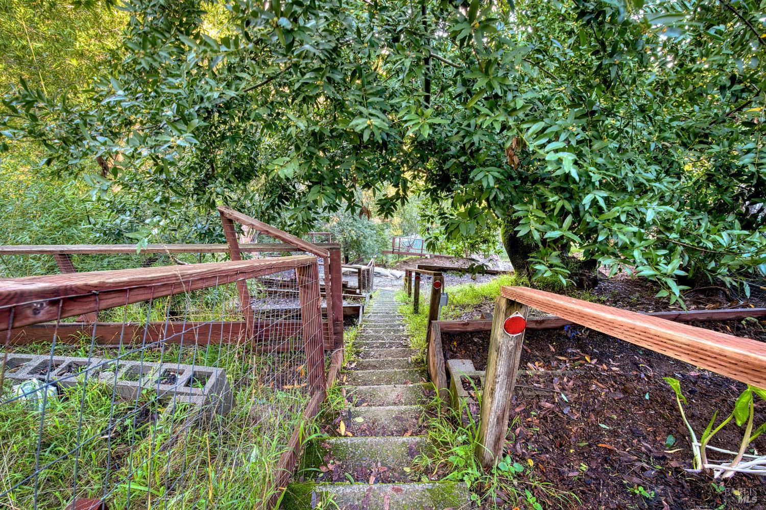 223 Tamalpais Road Fairfax, CA 94930 - Photo 7 of 28