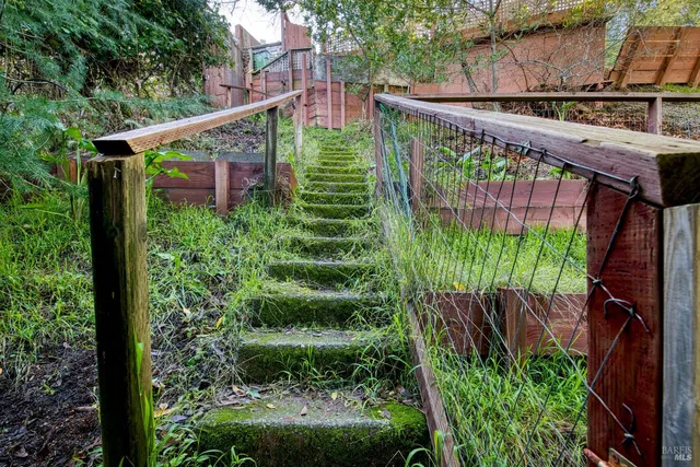 a green field with trees in the background