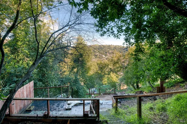 a view of a backyard