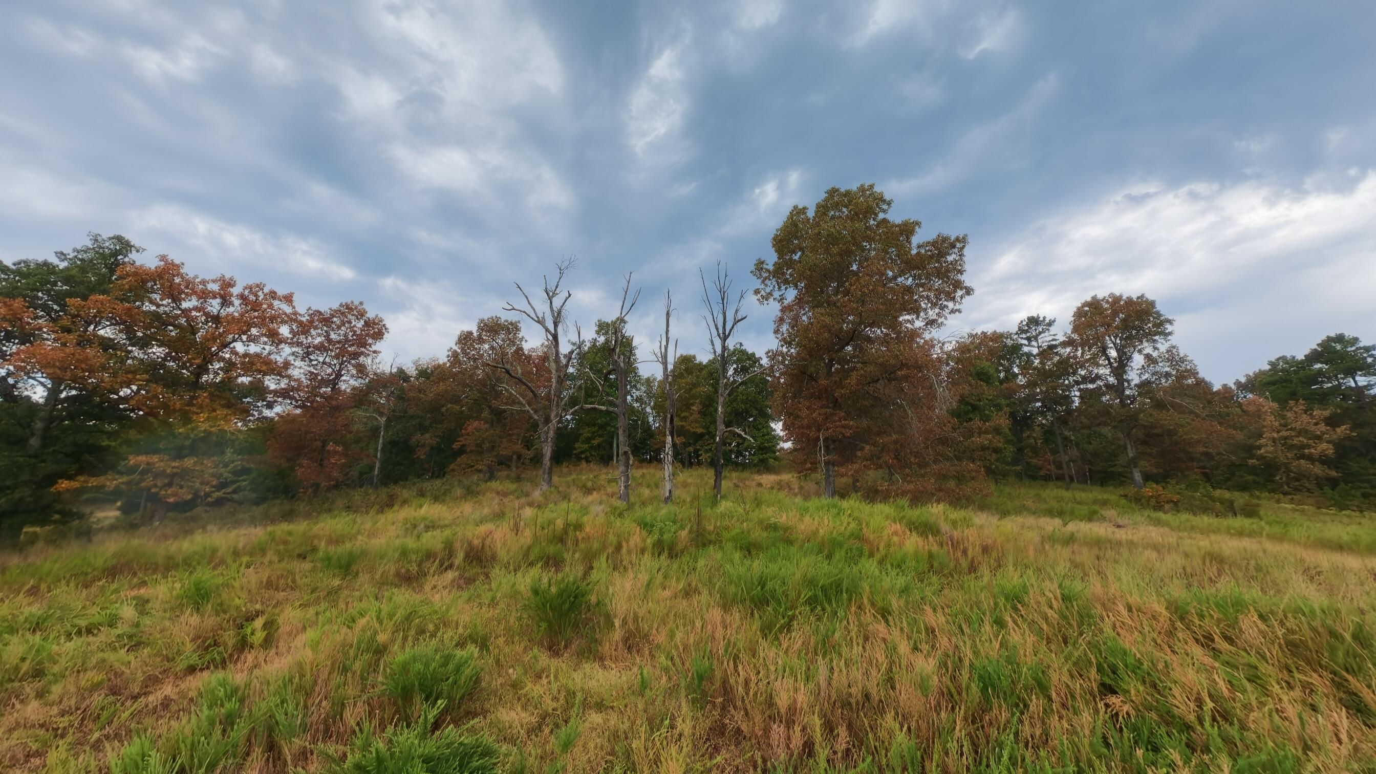 517 Sawmill Road Brockwell, AR 72517 - Photo 54 of 54 40 acres052