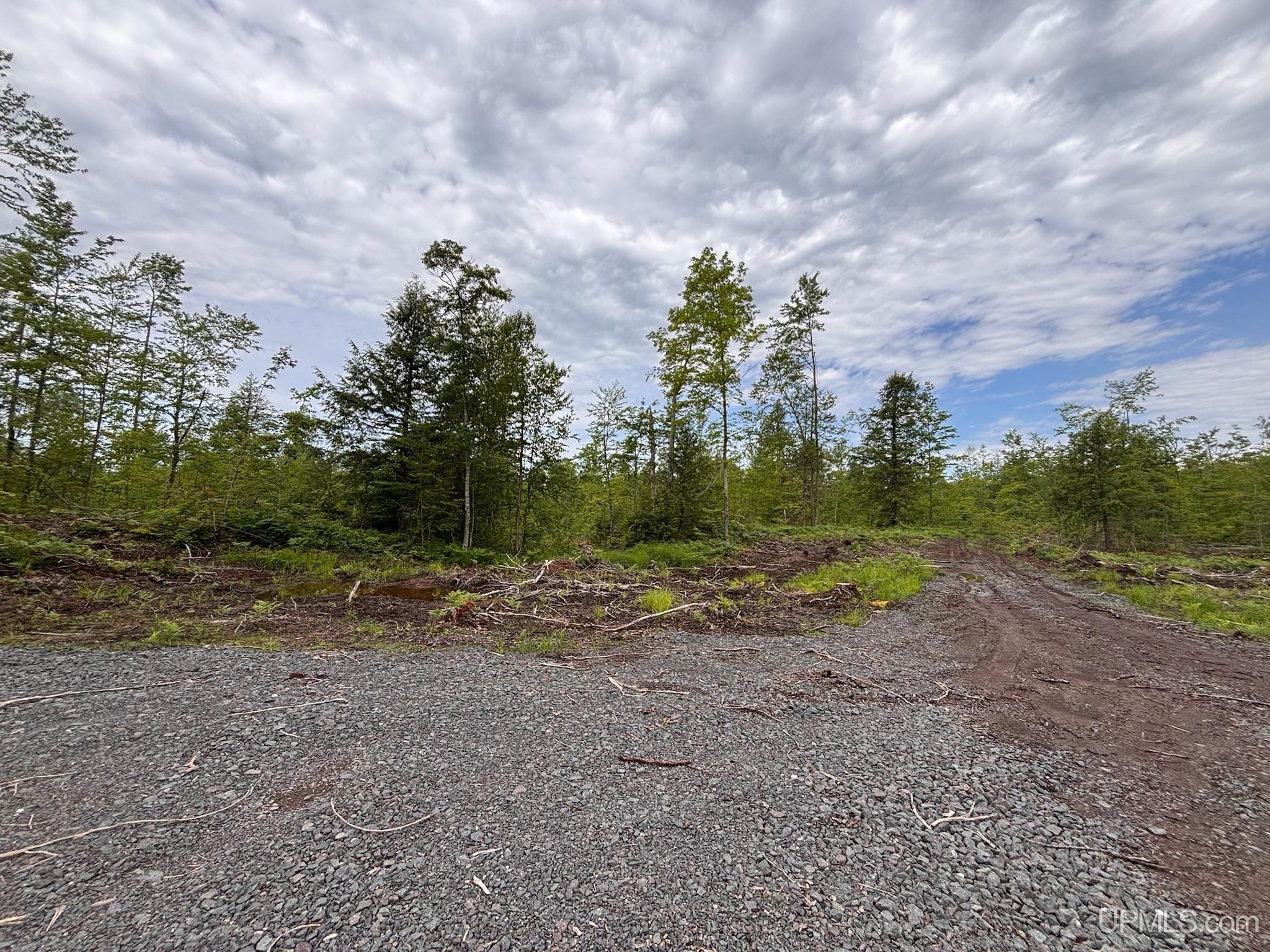 Tbd Pike Lake Road Toivola, MI 49965 - Photo 9 of 41 Gallery Image 9