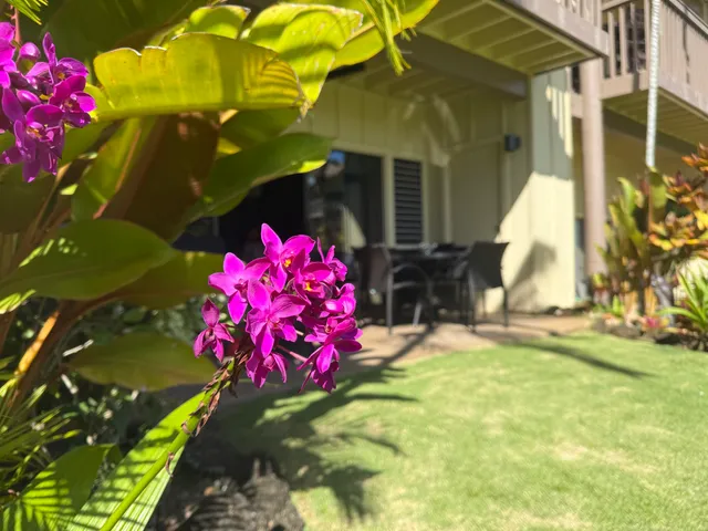 $1,200,000 | 410 Papaloa Road, Unit 414, Kapaa, HI 96746