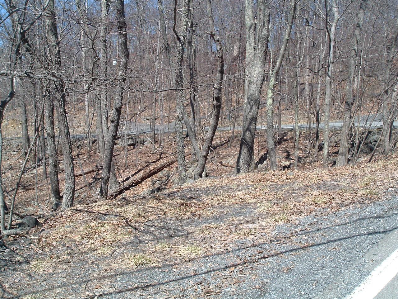 Hampstead Bushkill, PA 18324 - Photo 1 of 1 a view of a backyard of the house