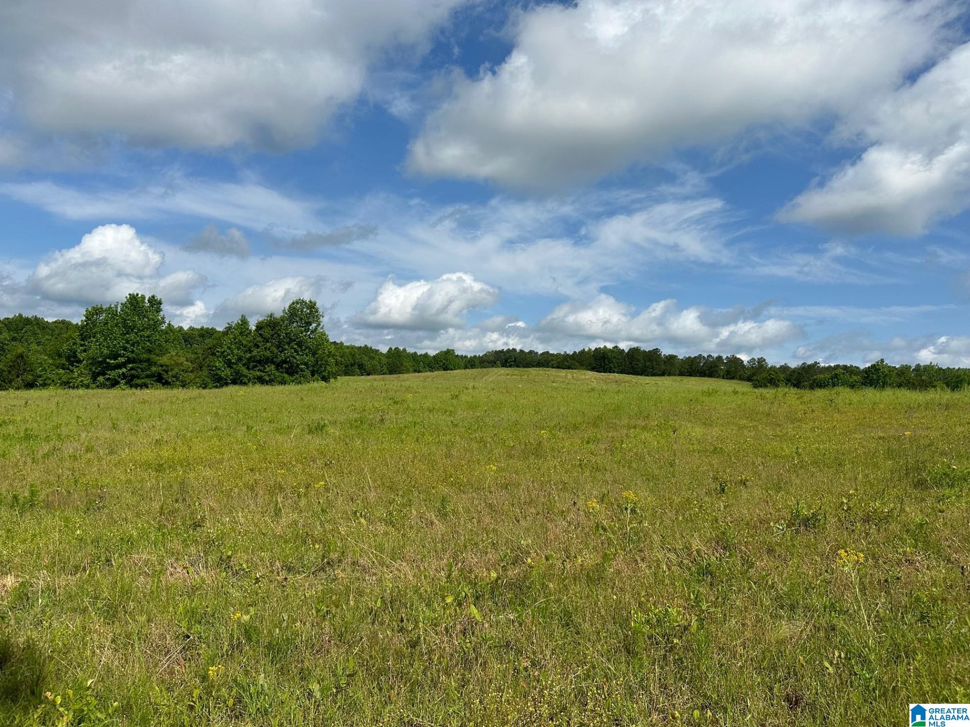 Oaks Chapel Road, Unit 76 Goodwater, AL 35072 - Photo 10 of 25