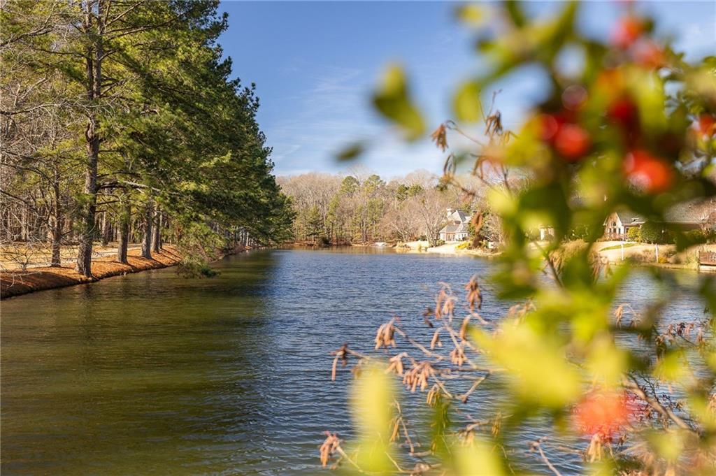 9180 Etching Overlook Duluth, GA 30097 - Photo 37 of 51