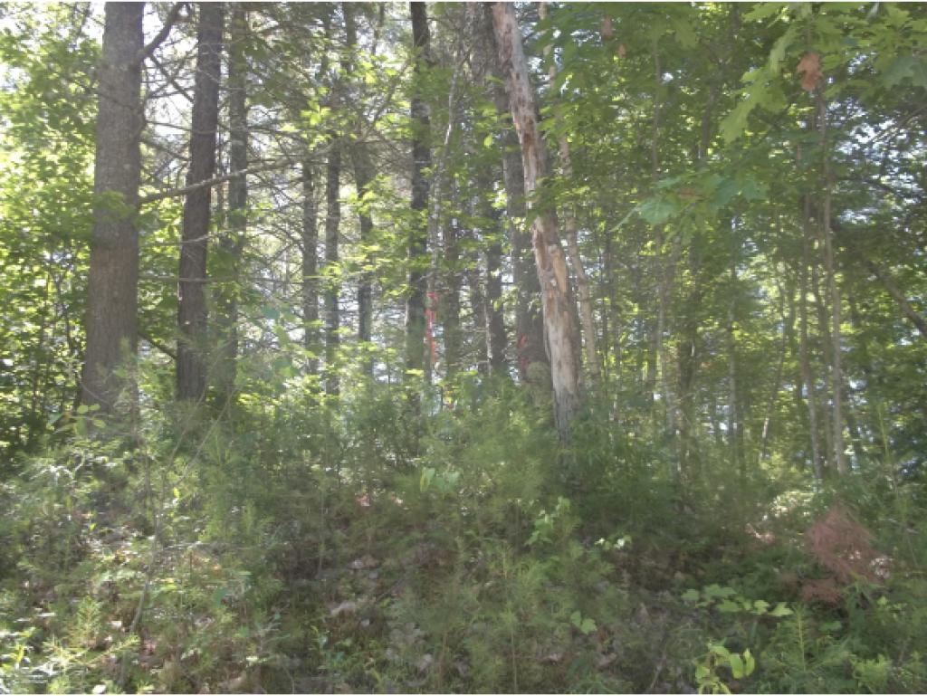 Lot 150 Pine River Road Effingham, NH 03882 - Photo 1 of 2 Gallery Image 1