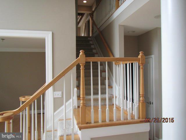 7913 Riverside Drive Pasadena, MD 21122 - Photo 9 of 11 Interior (General)