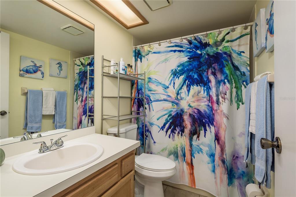 102 Anclote Road Tarpon Springs, FL 34689 - Photo 25 of 42 a bathroom with a sink toilet and mirror