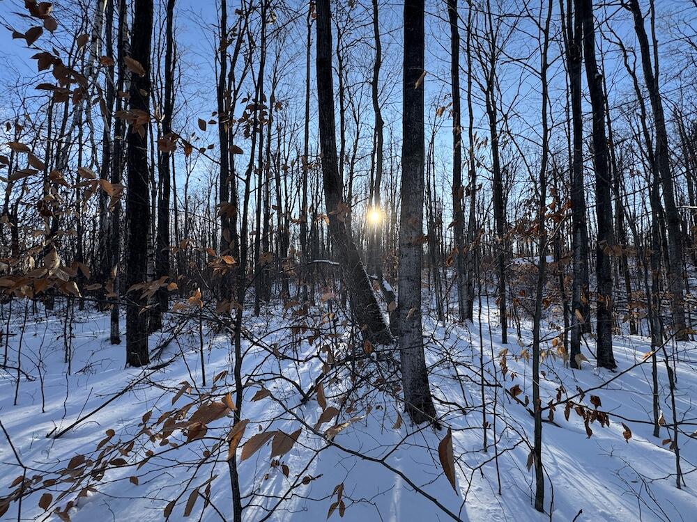 152-acres West Miller Road Mio, MI 48647 - Photo 113 of 137 IMG_9336 3