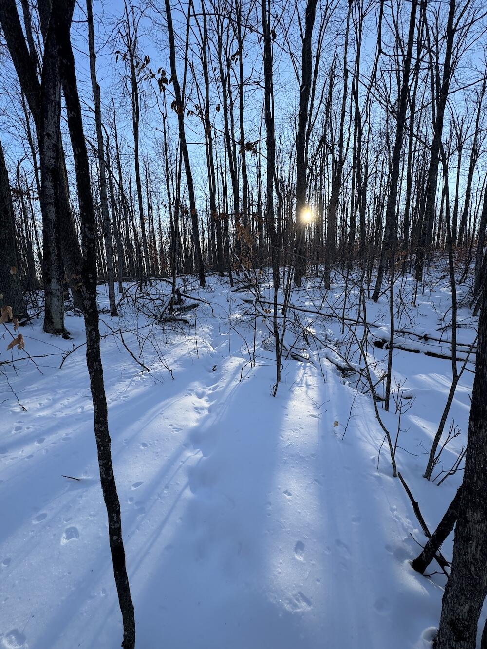 152-acres West Miller Road Mio, MI 48647 - Photo 114 of 137 IMG_9338 3