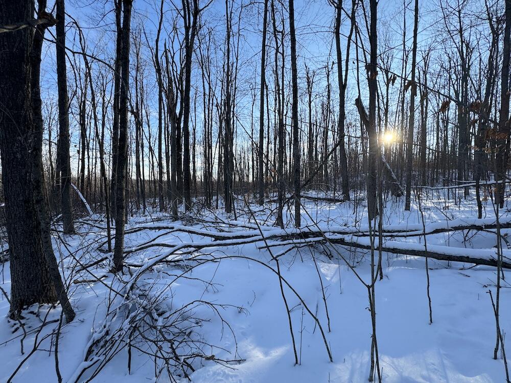 152-acres West Miller Road Mio, MI 48647 - Photo 116 of 137 IMG_9340 3