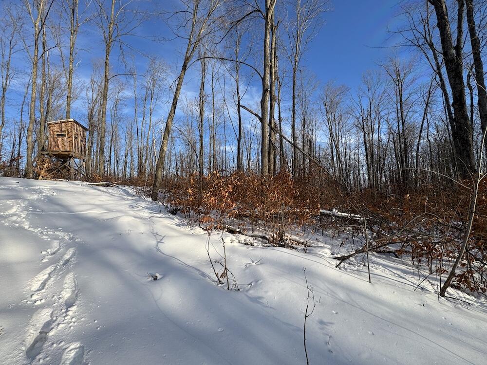 152-acres West Miller Road Mio, MI 48647 - Photo 125 of 137 IMG_9351 3