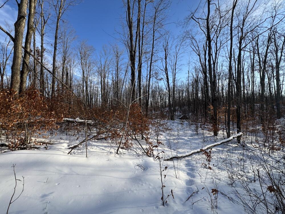 152-acres West Miller Road Mio, MI 48647 - Photo 126 of 137 IMG_9352 3