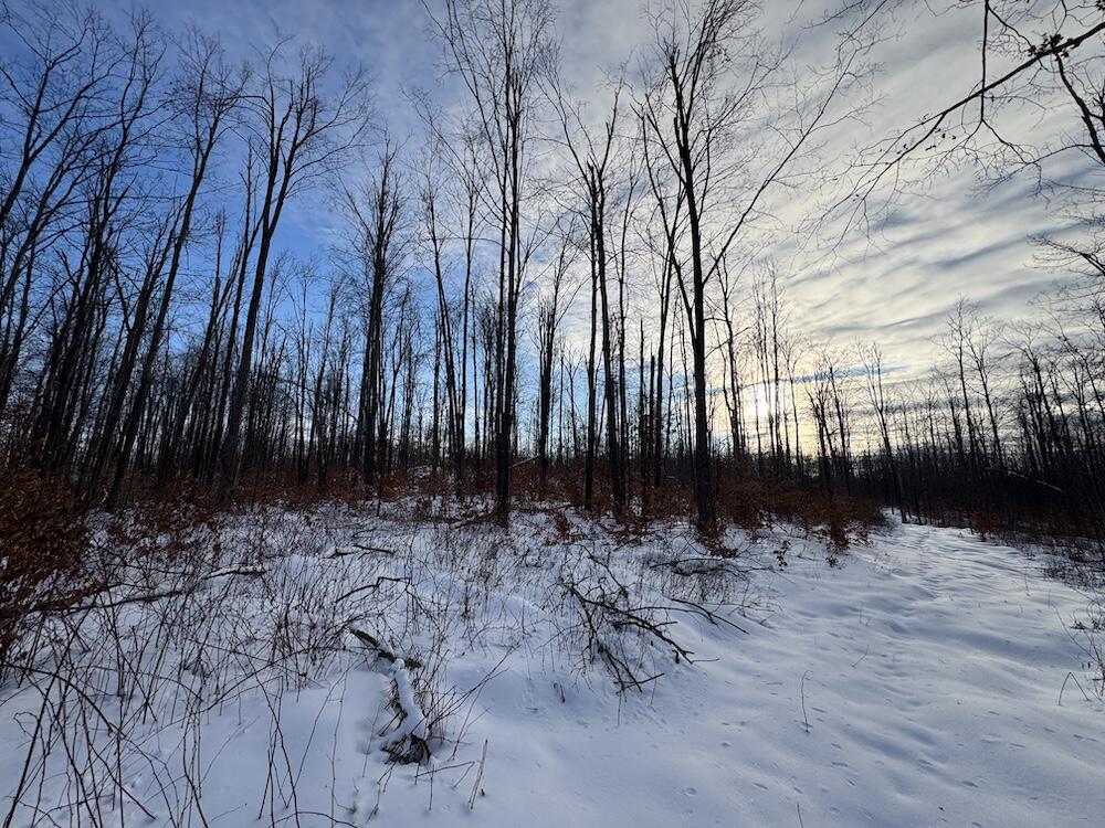 152-acres West Miller Road Mio, MI 48647 - Photo 129 of 137 IMG_9355 3