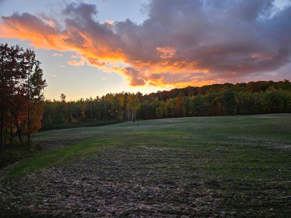 152-acres West Miller Road Mio, MI 48647 - Photo 13 of 137 10