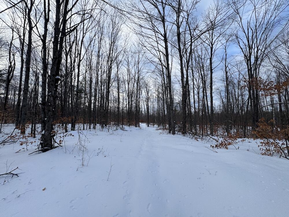 152-acres West Miller Road Mio, MI 48647 - Photo 134 of 137 IMG_9360 3