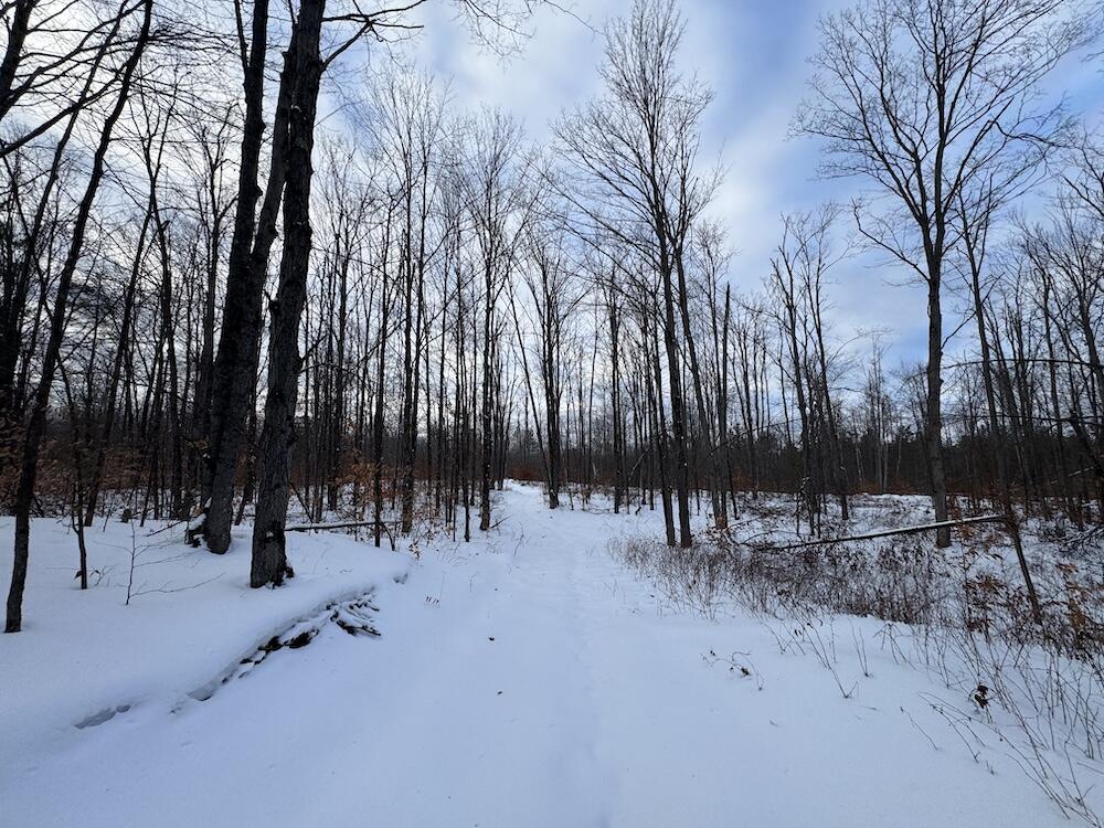 152-acres West Miller Road Mio, MI 48647 - Photo 135 of 137 IMG_9361 3