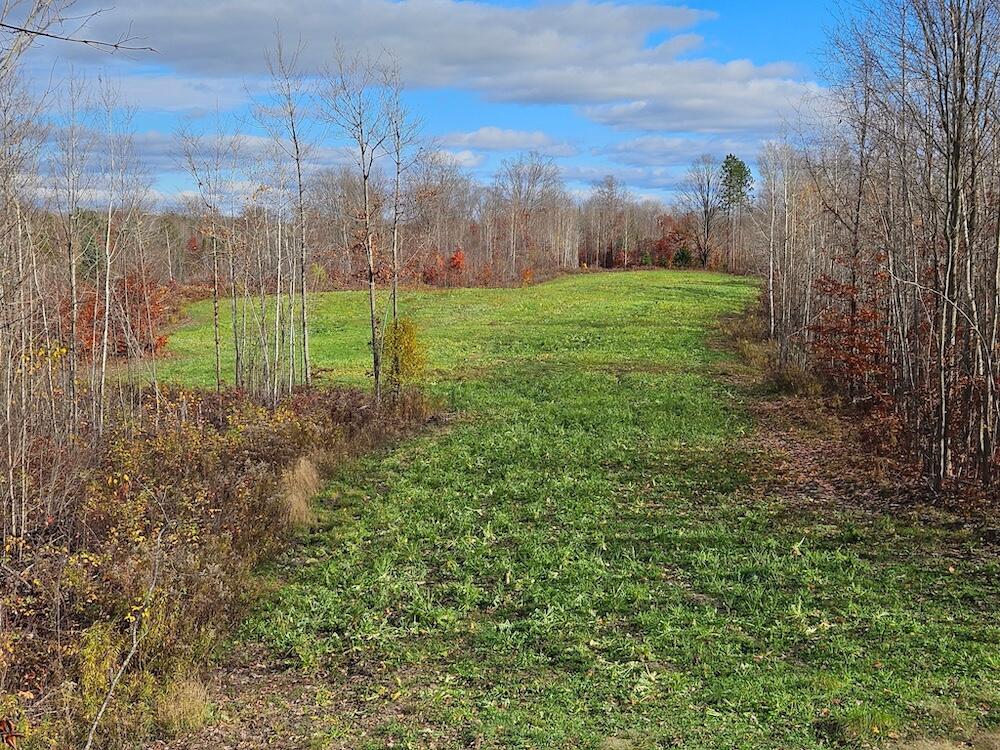 152-acres West Miller Road Mio, MI 48647 - Photo 15 of 137 11