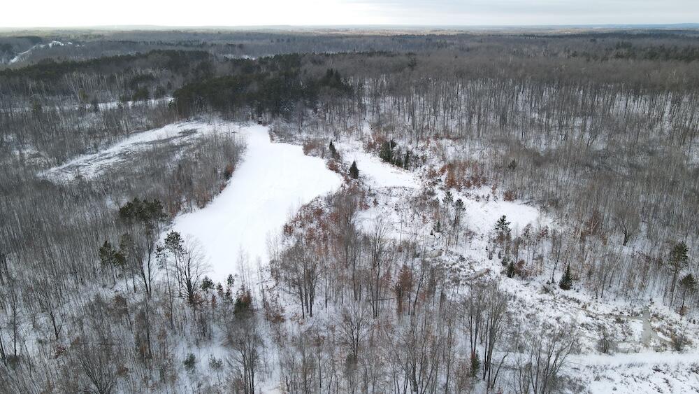 152-acres West Miller Road Mio, MI 48647 - Photo 16 of 137 11(1)