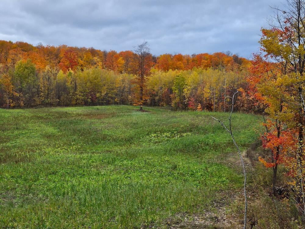 152-acres West Miller Road Mio, MI 48647 - Photo 17 of 137 12