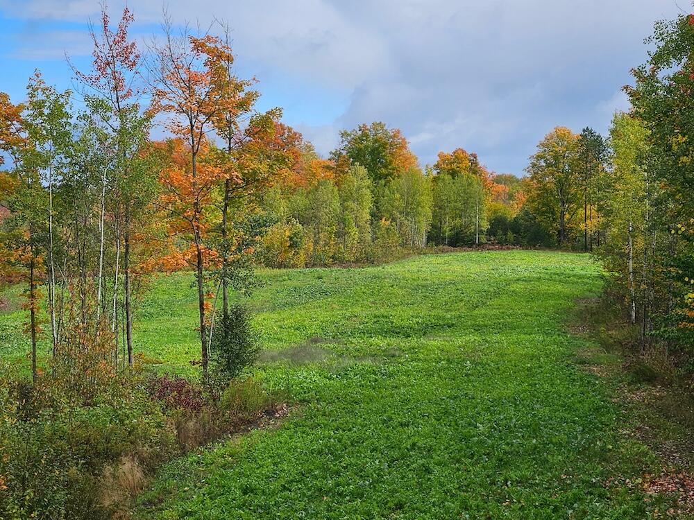 152-acres West Miller Road Mio, MI 48647 - Photo 2 of 137 3