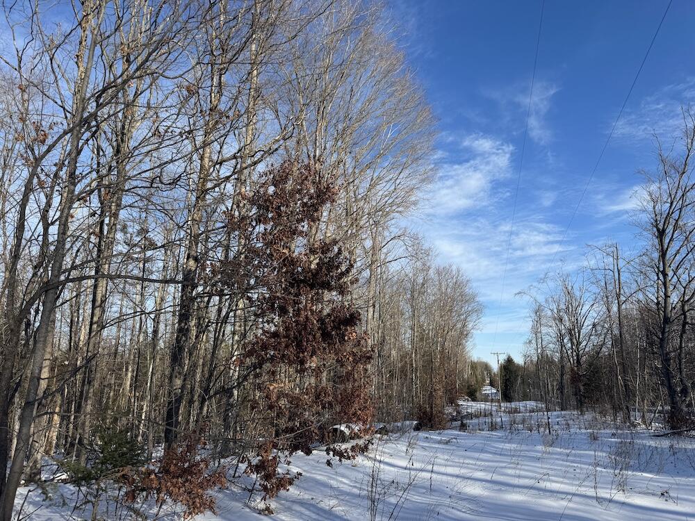 152-acres West Miller Road Mio, MI 48647 - Photo 21 of 137 15