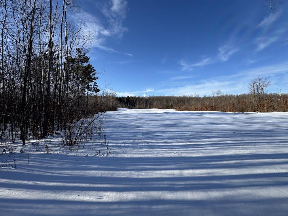 152-acres West Miller Road Mio, MI 48647 - Photo 22 of 137 16
