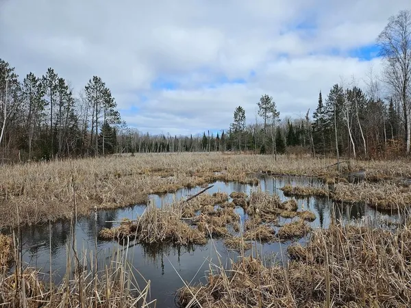 $489,000 | 152-acres West Miller Road, Mio, MI 48647