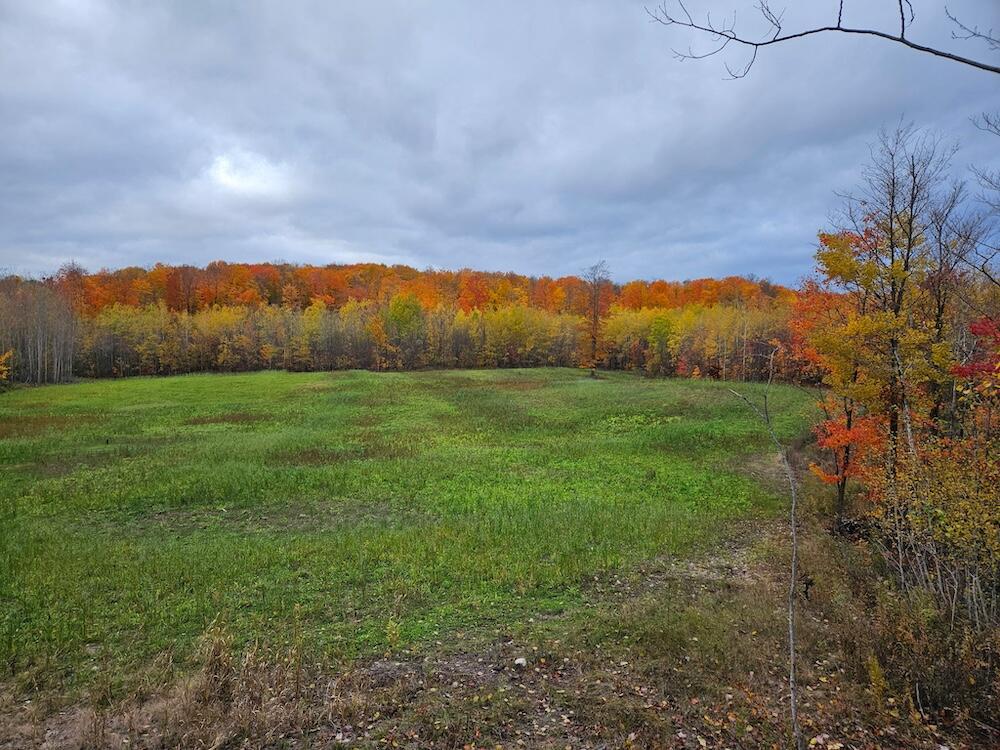 152-acres West Miller Road Mio, MI 48647 - Photo 28 of 137 5900011986655572482