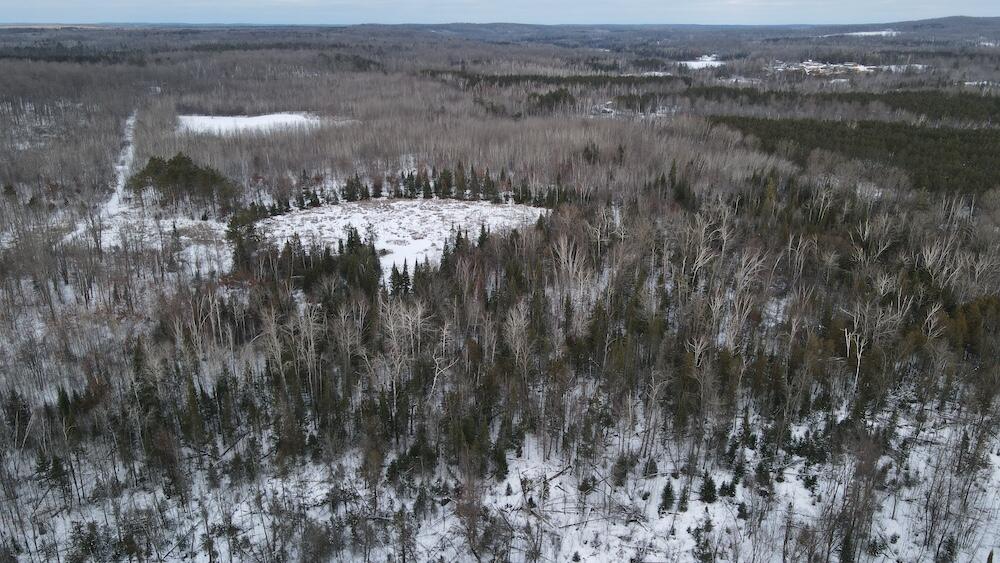 152-acres West Miller Road Mio, MI 48647 - Photo 30 of 137 DJI_0471
