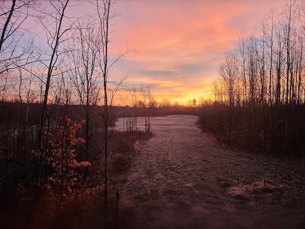 152-acres West Miller Road Mio, MI 48647 - Photo 3 of 137 4