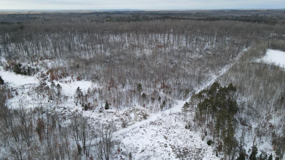 152-acres West Miller Road Mio, MI 48647 - Photo 33 of 137 DJI_0474