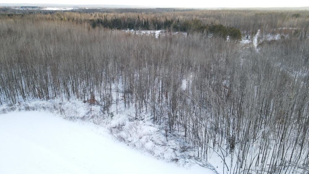 152-acres West Miller Road Mio, MI 48647 - Photo 35 of 137 DJI_0483