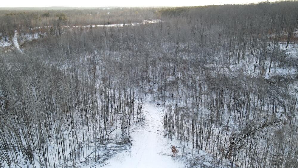 152-acres West Miller Road Mio, MI 48647 - Photo 36 of 137 DJI_0484