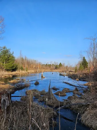 $489,000 | 152-acres West Miller Road, Mio, MI 48647