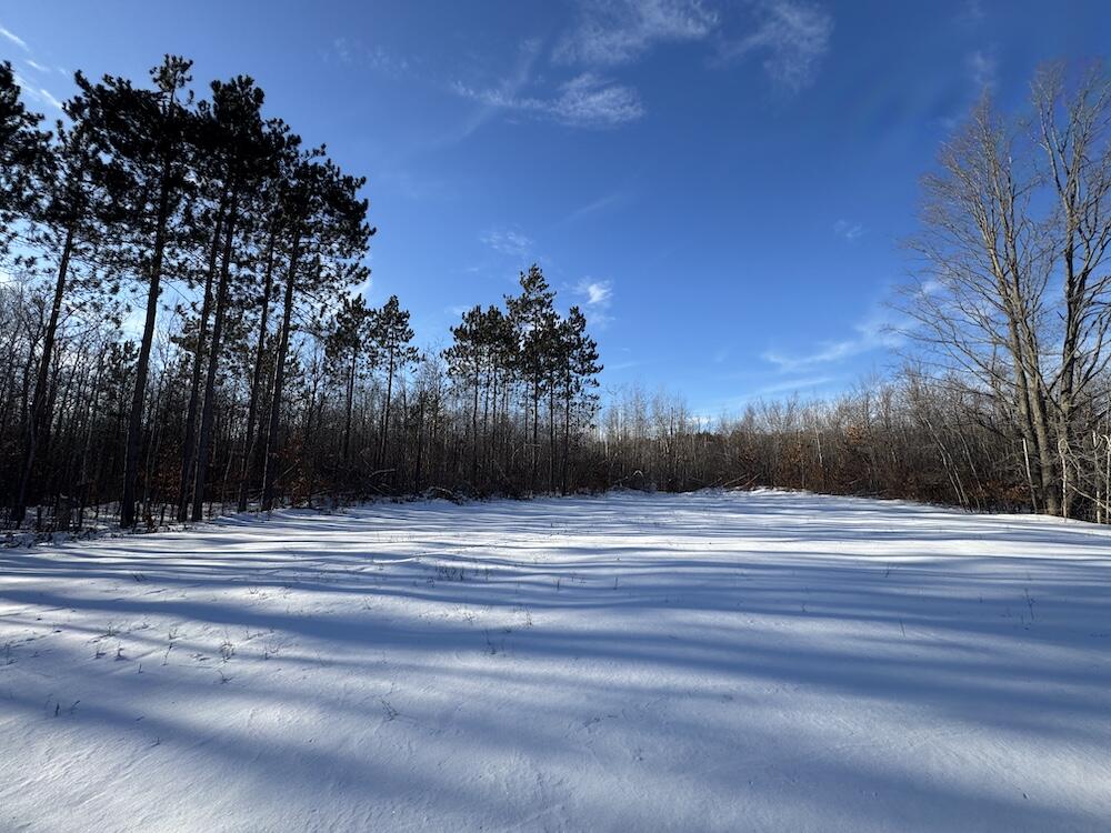 152-acres West Miller Road Mio, MI 48647 - Photo 55 of 137 IMG_9265 2