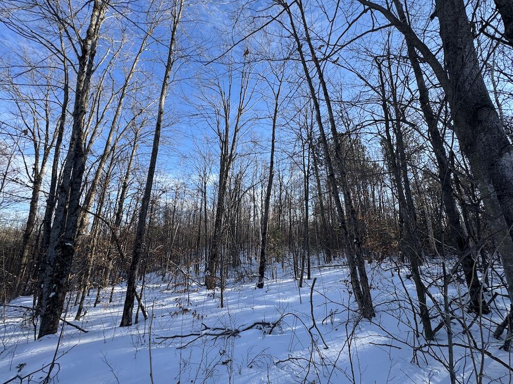 152-acres West Miller Road Mio, MI 48647 - Photo 60 of 137 IMG_9270 2