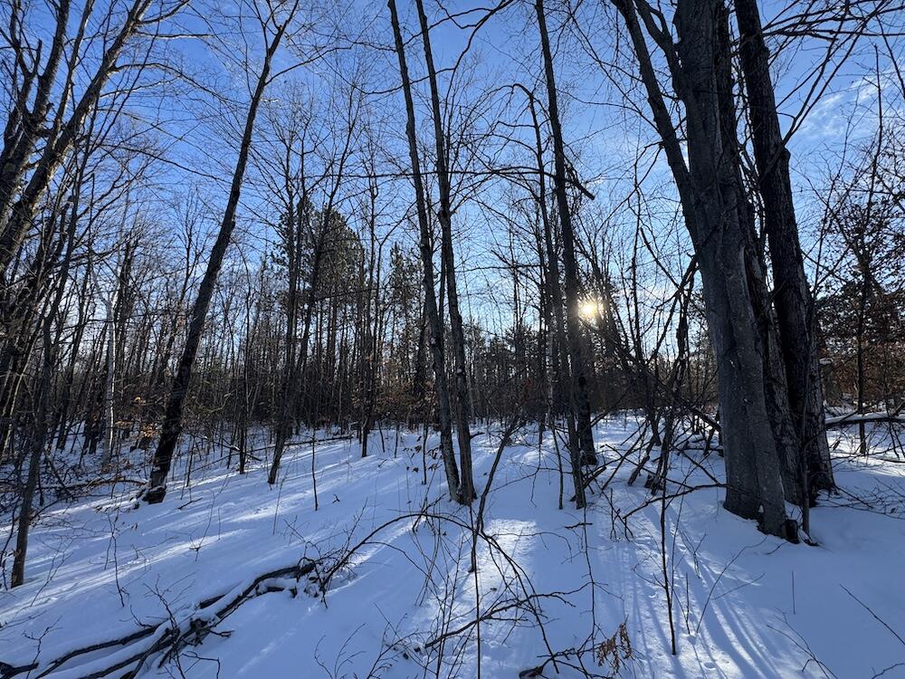 152-acres West Miller Road Mio, MI 48647 - Photo 61 of 137 IMG_9271 2