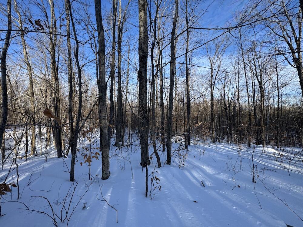152-acres West Miller Road Mio, MI 48647 - Photo 62 of 137 IMG_9272 2